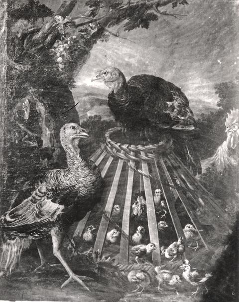 Accademia Carrara — Crivelli Angelo Maria (Crivellone) - sec. XVII/ XVIII - Tacchini, pulcini e un gallo — insieme